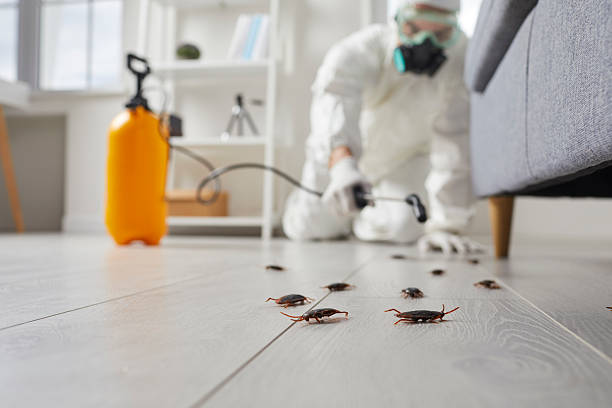Commercial Rodent Management in Cold Spring Harbor